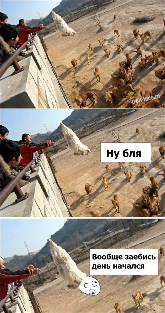 Смешные комиксы