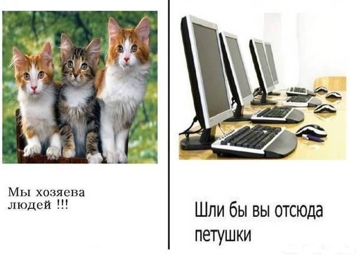 Смешные комиксы (23 фото)