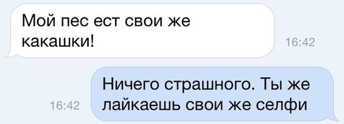 Порция картинок