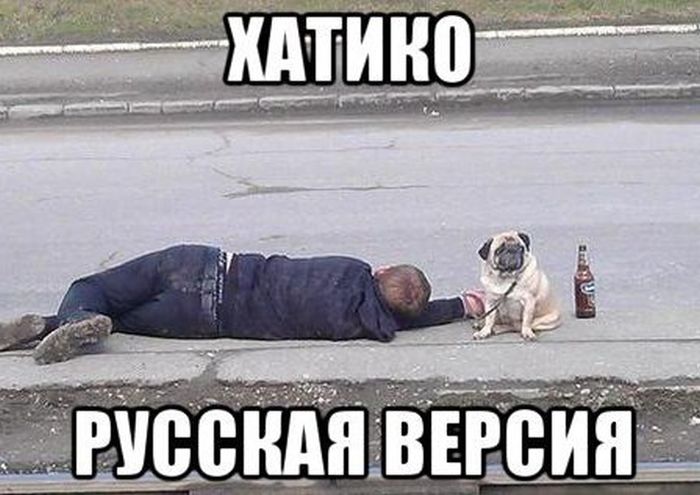 Порция картинок