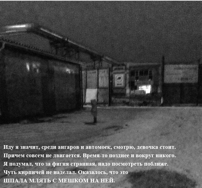Порция картинок