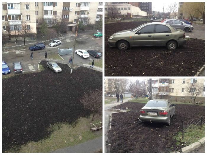 Порция картинок