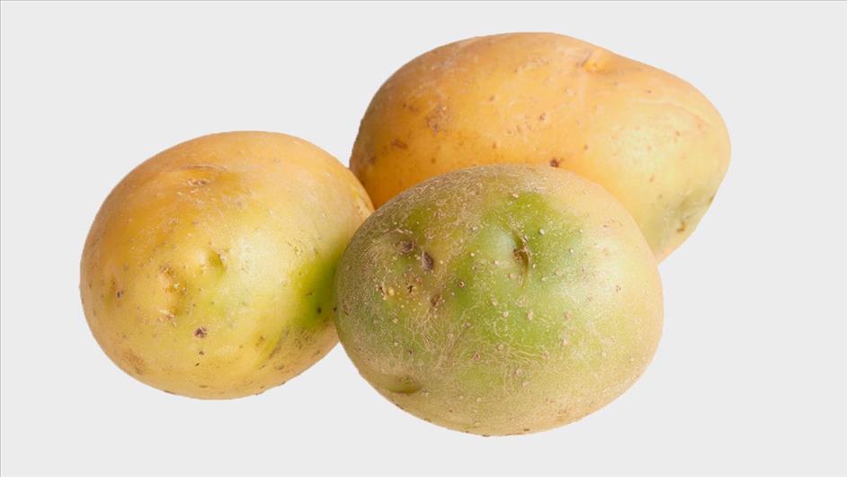 Самые опасные продукты Самые опасные продукты