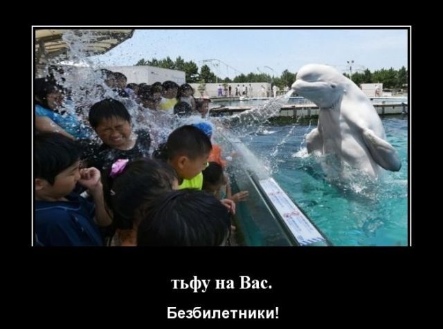 Демотиваторы