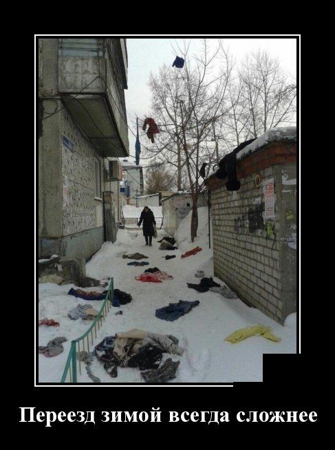 Демотиваторы