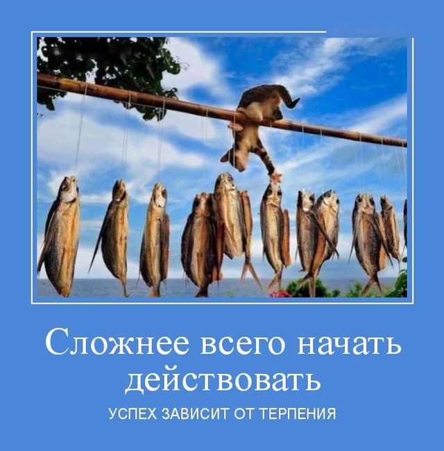 Демотиваторы