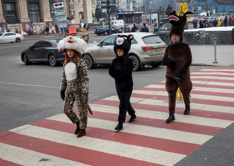 Подборка интересных и веселых картинок