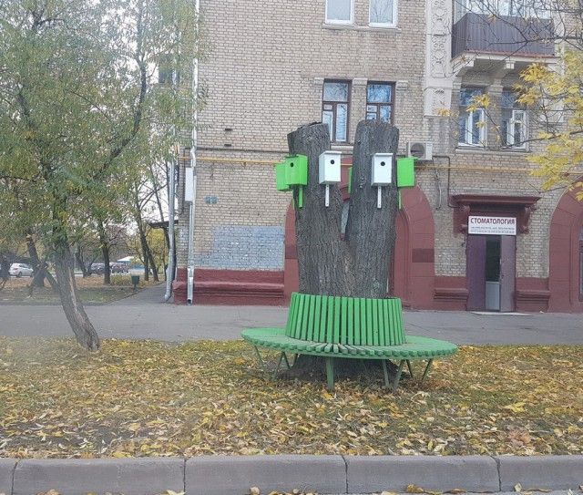 Странные и забавные фото из России