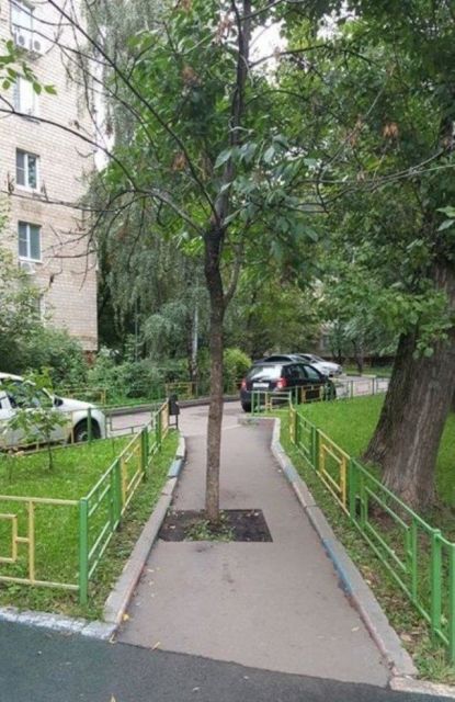 Странные и забавные фото из России