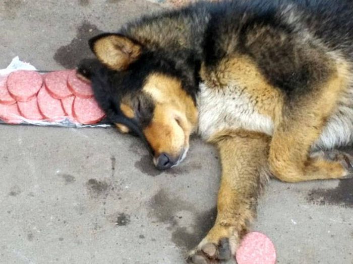 Прикольные картинки