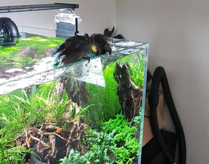 Прикольные картинки