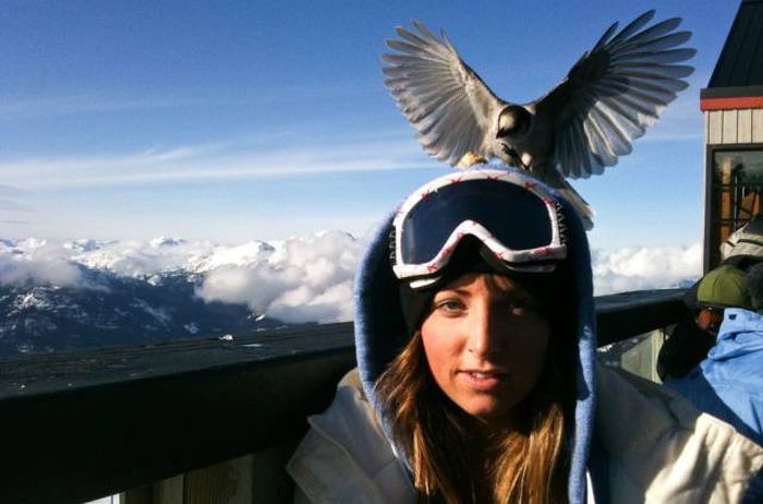 Прикольные картинки