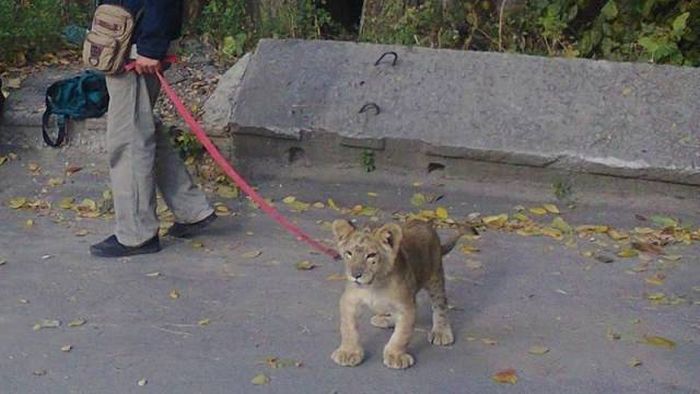 Прикольные картинки