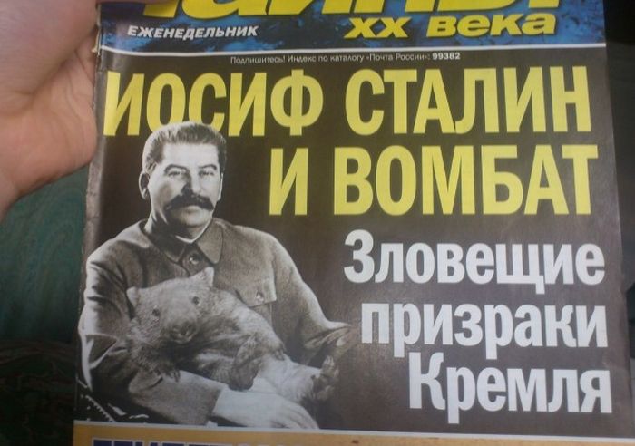 Заголовки статей «желтой прессы»