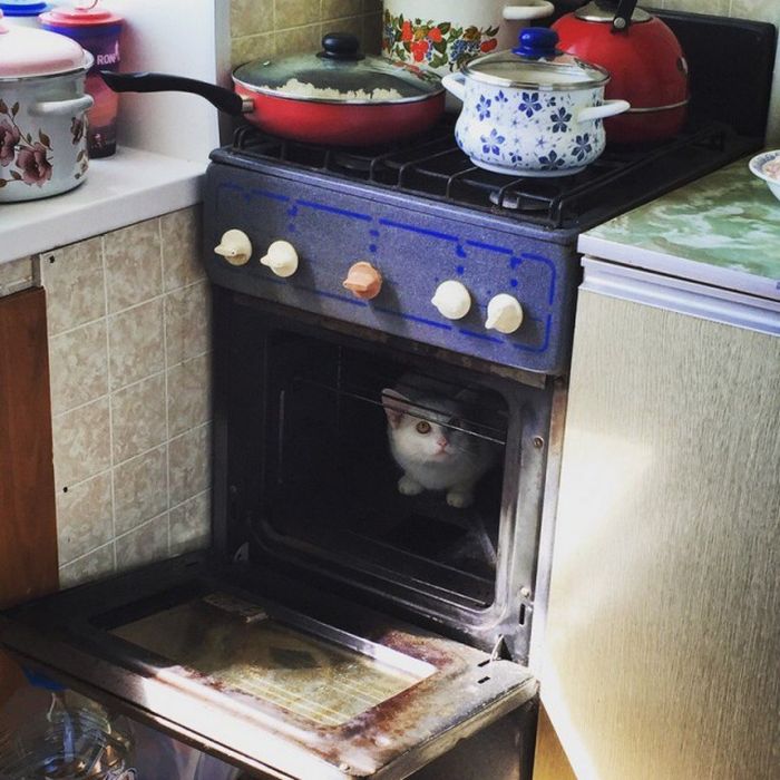 Фото, которые возможно было сделать только в России