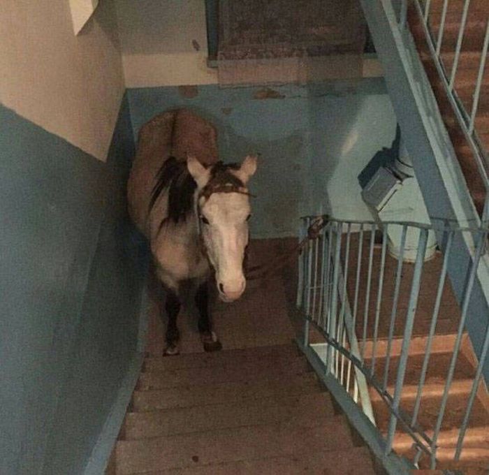 Фото, которые возможно было сделать только в России