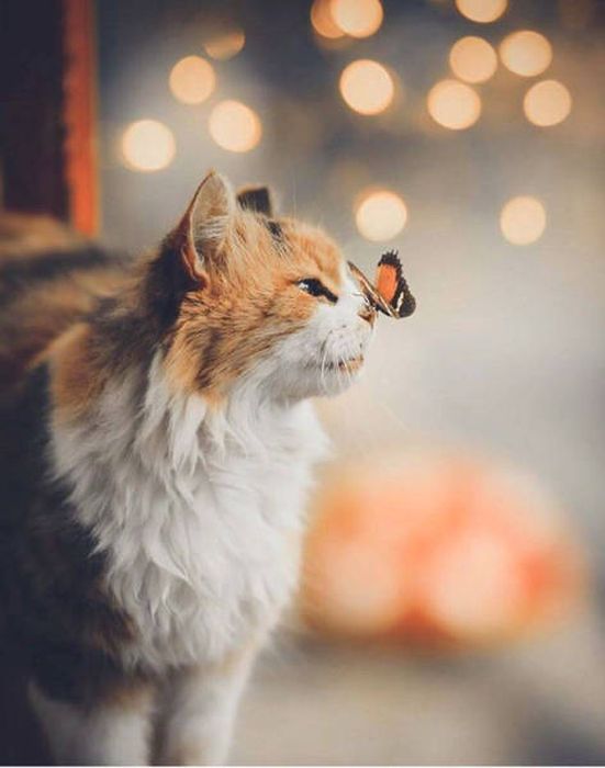 Фото, которые не могут не понравиться