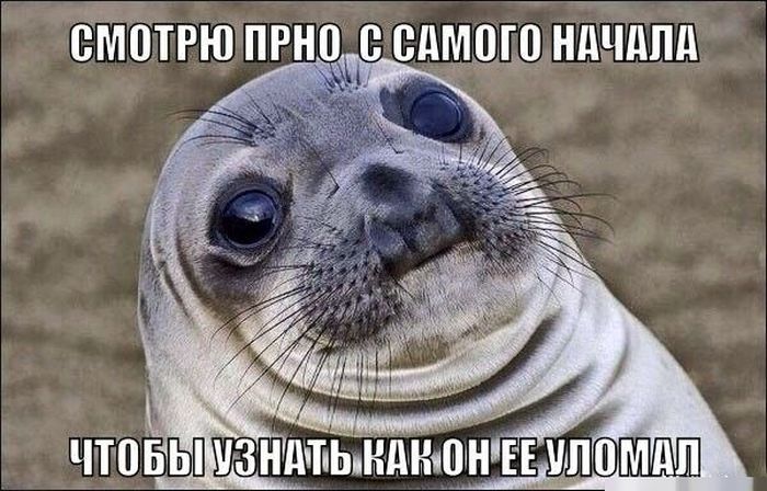 Порция картинок