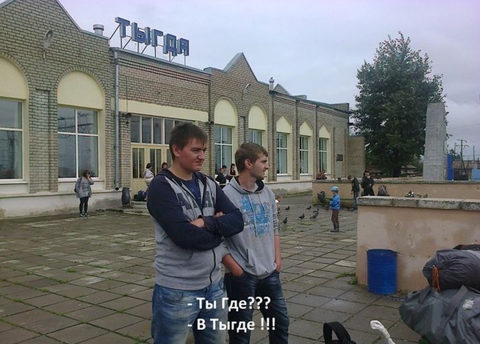Порция картинок