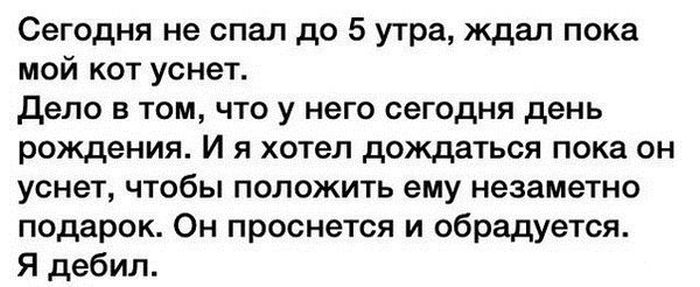 Порция картинок