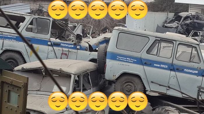 Порция картинок