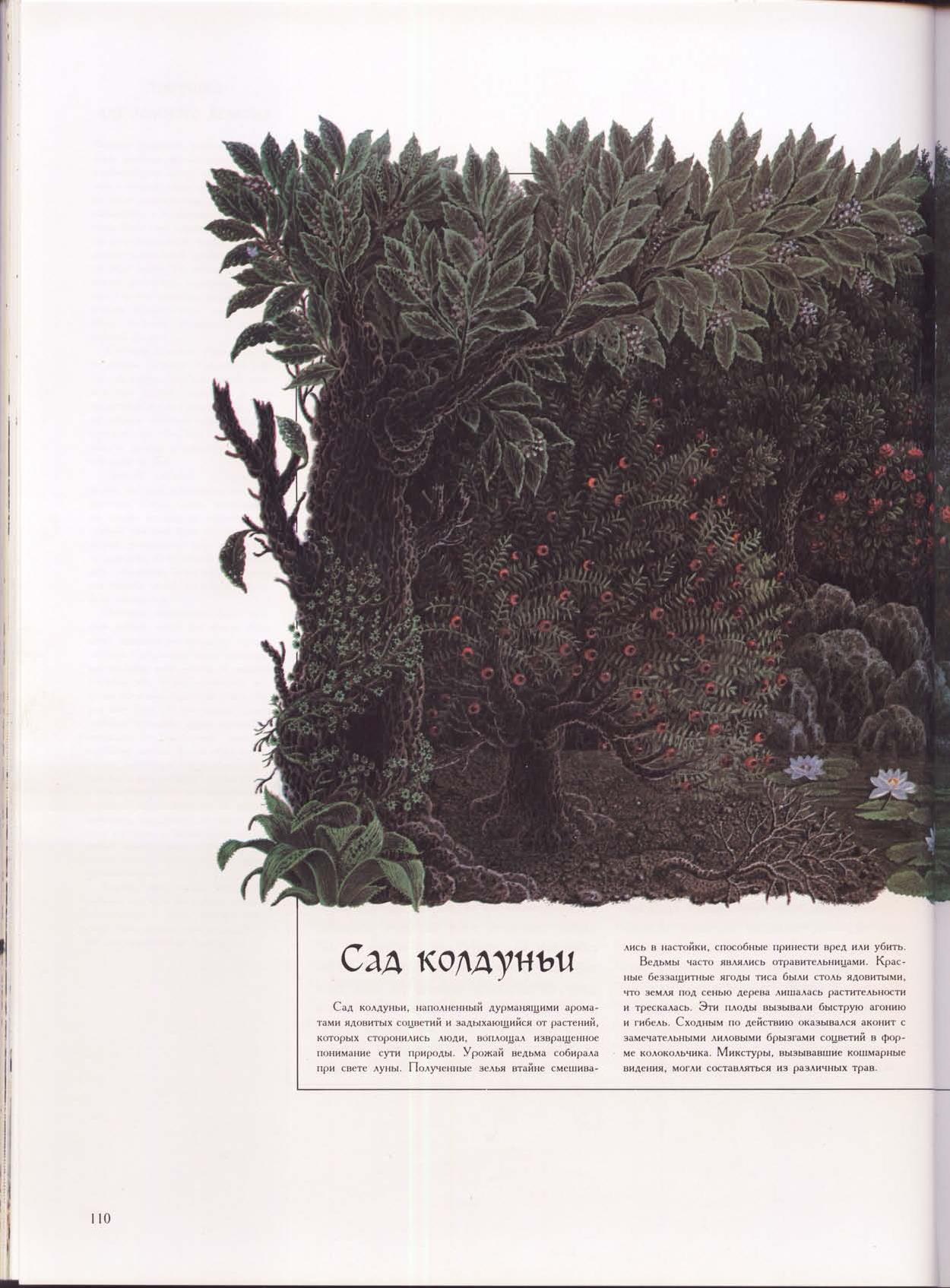 Зачарованный мир: Колдуны и ведьмы