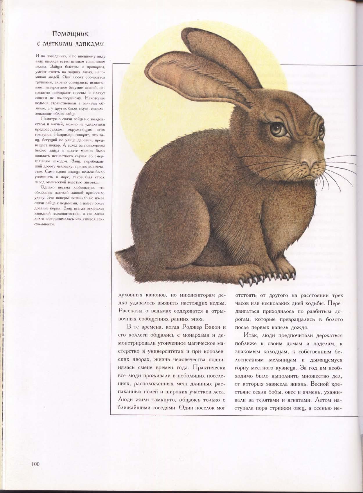 Зачарованный мир: Колдуны и ведьмы