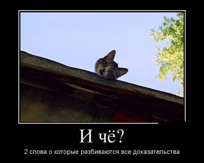 Демотиваторы