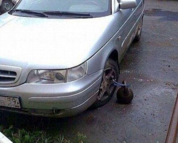 Автомобильный юмор