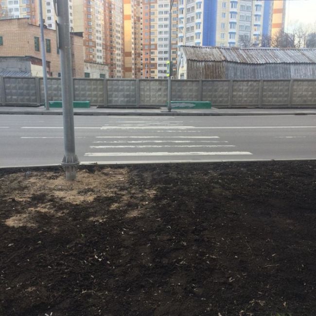 Почему пешеходу никогда не понять водителя