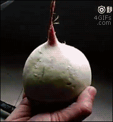 Люди демонстрируют свои таланты