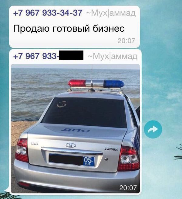Прикольные картинки