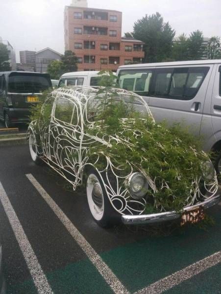 Прикольные картинки