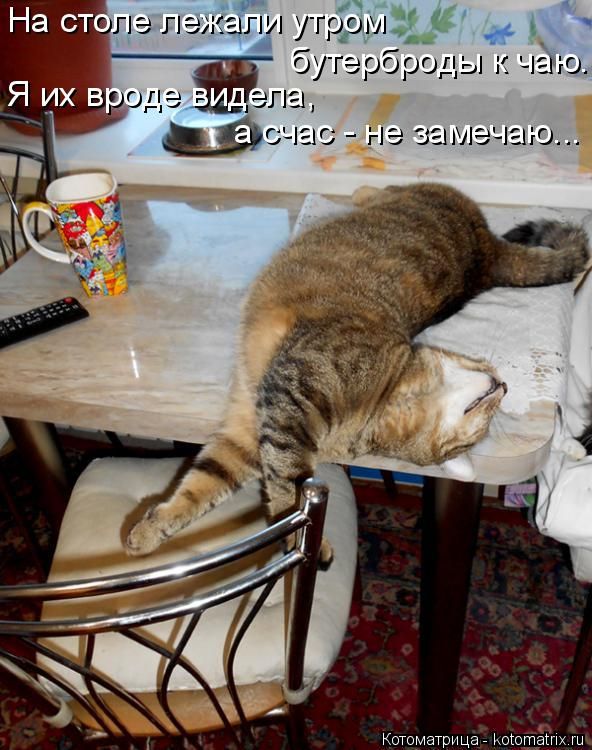 Лучшие котоматрицы недели