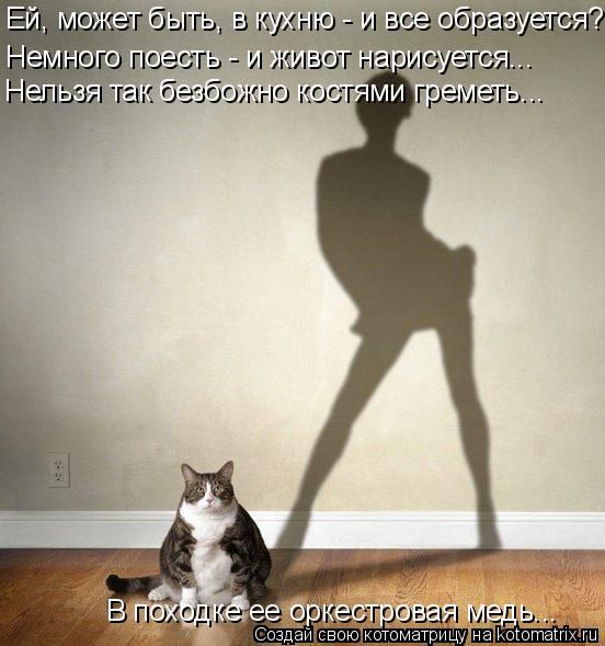 Лучшие котоматрицы недели