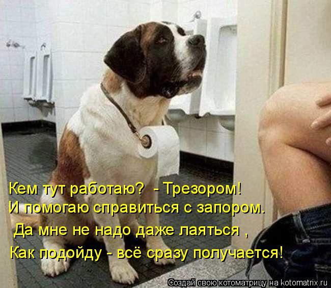 Лучшие котоматрицы недели