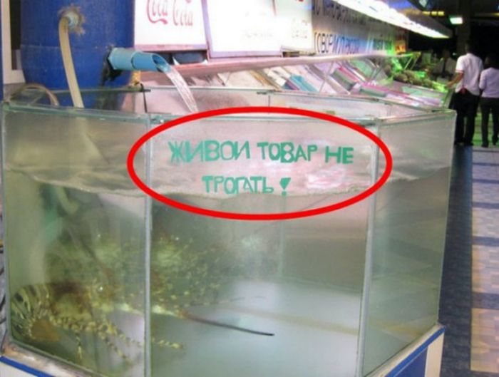 Приколы из Таиланда