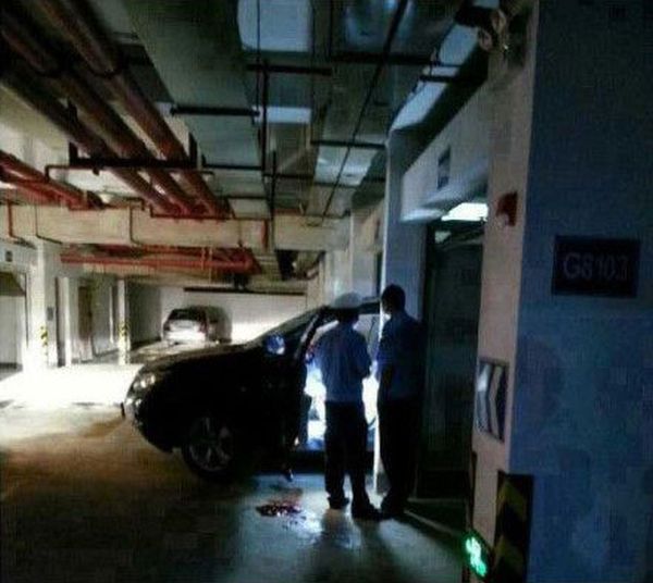 Номинант на приемию Дарвина 2013