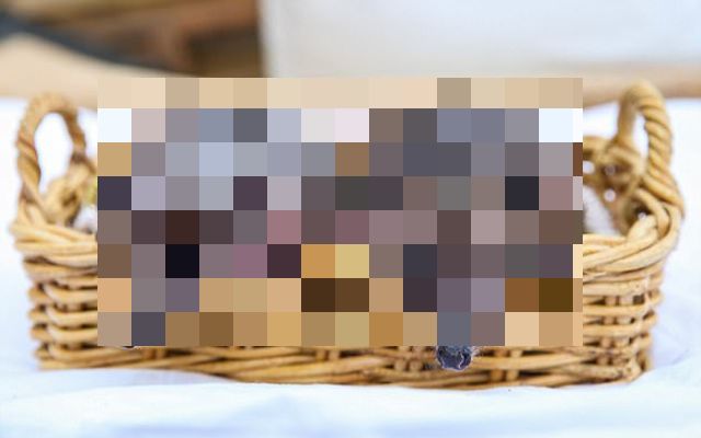 Прохожий обнаружил пару необычных созданий