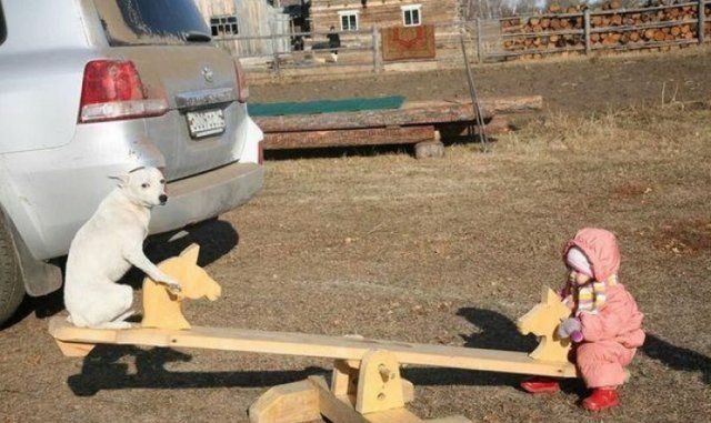 Забавные снимки с наших просторов