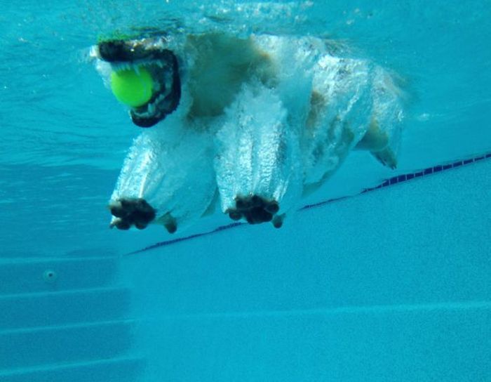 В нужный момент