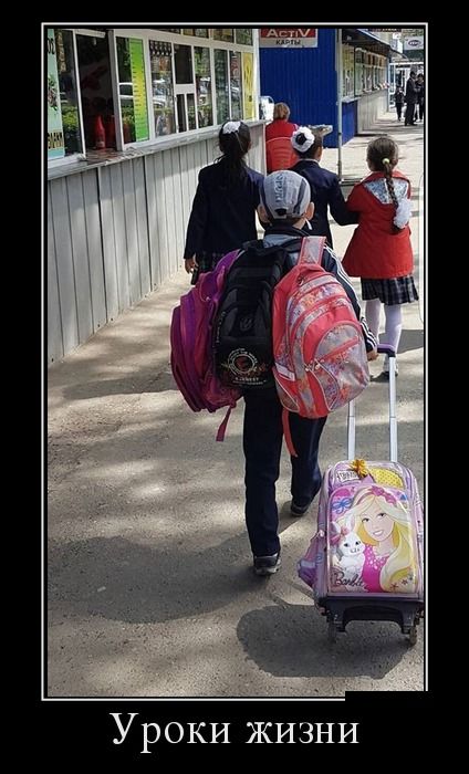 Демотиваторы