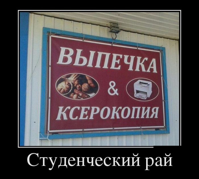 Демотиваторы