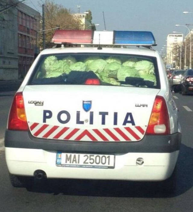 WTF: что тут происходит?