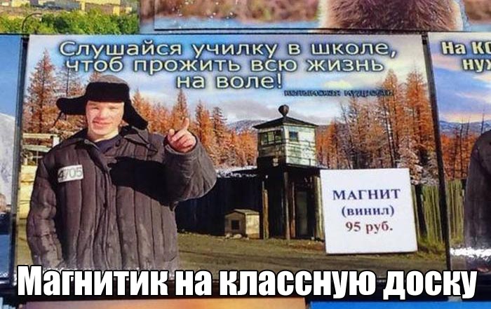 Прикольные картинки