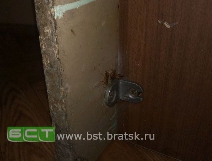 Ад российских больниц