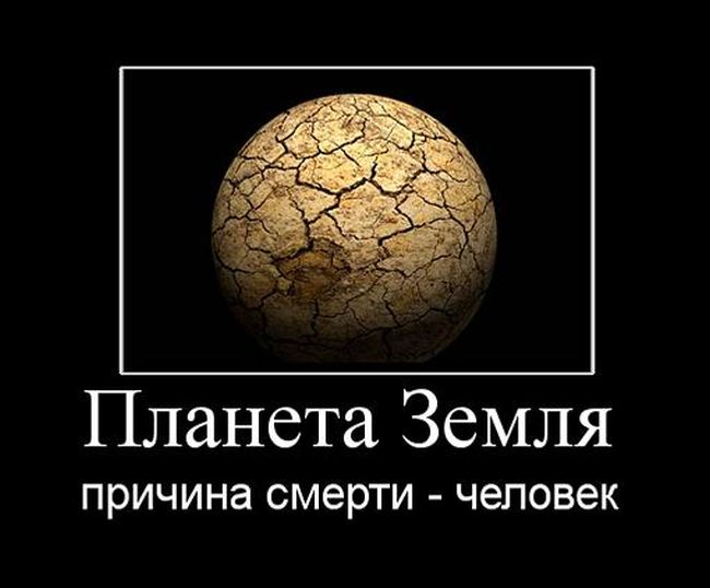 Демотиваторы