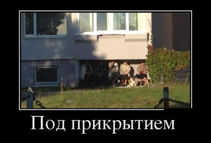 Демотиваторы
