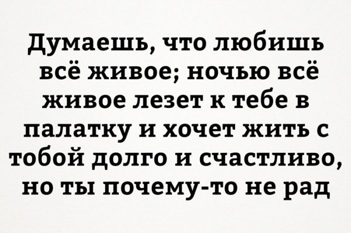 Прикольные комментарии и высказывания из социальных сетей