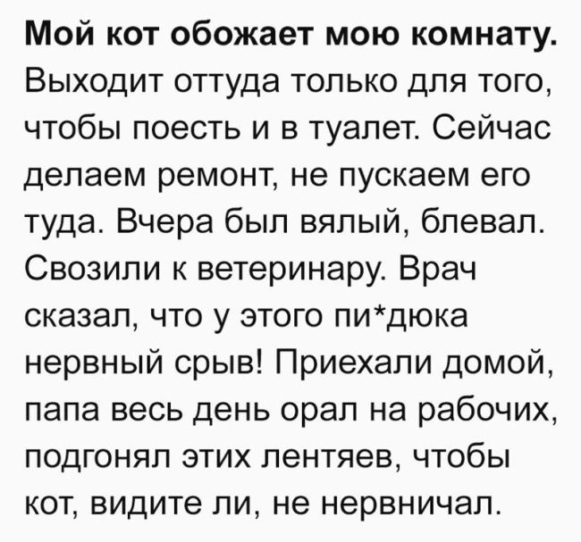 Прикольные комментарии и высказывания из социальных сетей
